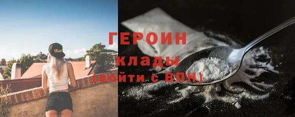 шишки Сосновый Бор