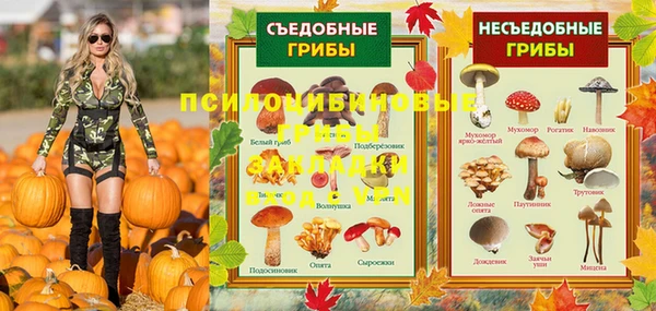 дживик Гусев