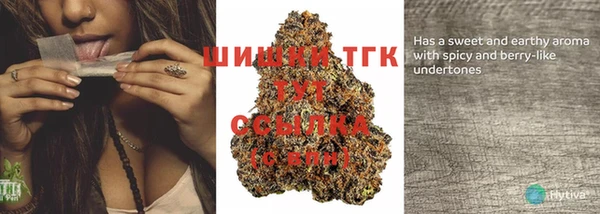 мдпв Кулебаки