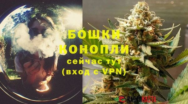 шишки Сосновый Бор