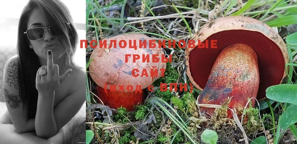 альфа пвп Гусь-Хрустальный