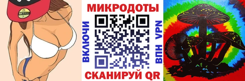 купить   Волосово  Псилоцибиновые грибы мицелий 
